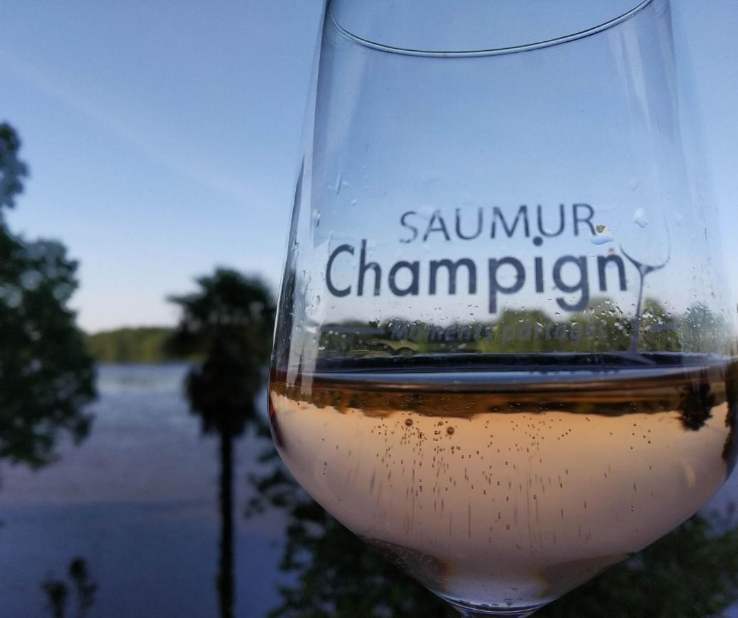 Saint-Martin-de-la-Place Naturellement Loire !ヴィラ エクステリア 写真
