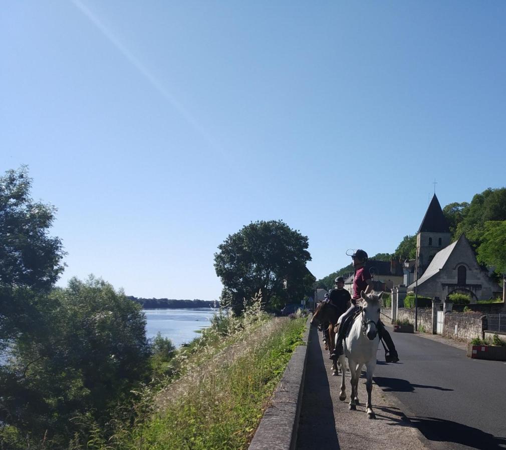 Saint-Martin-de-la-Place Naturellement Loire !ヴィラ エクステリア 写真